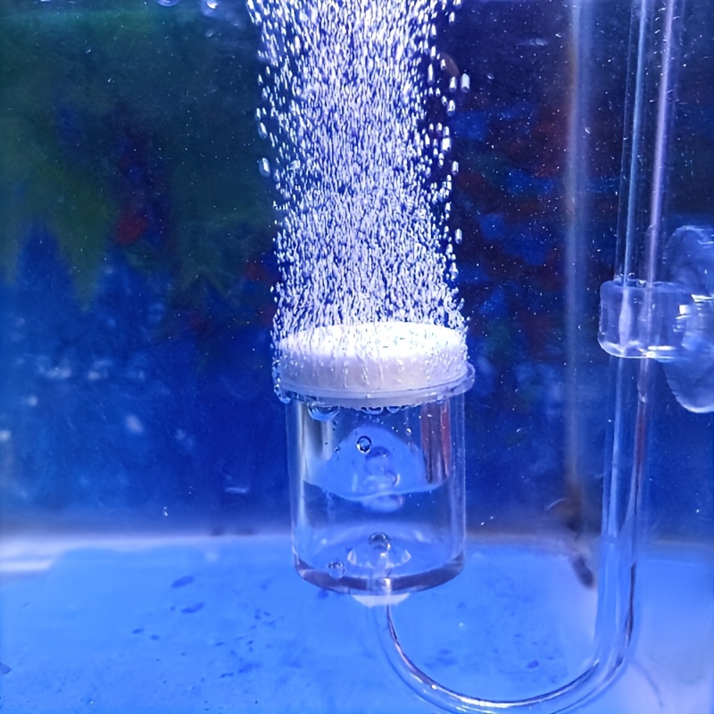 Aquarium Plant No Co2 - Akvaryum Cam CO2 Atomizer Difüzör Kabarcık