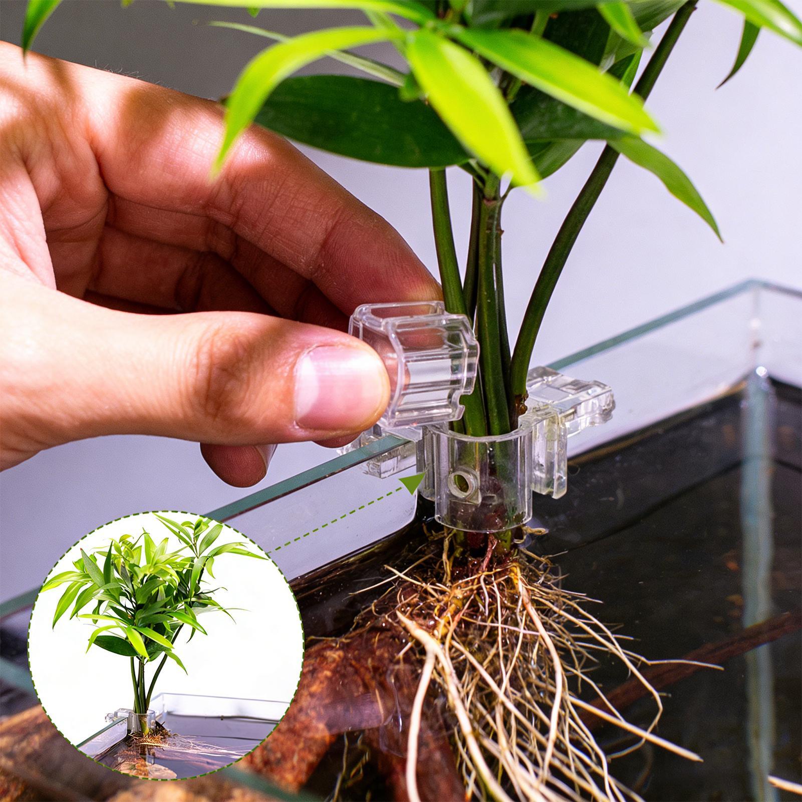 Aquarium Plant Growth - 6 adet Akvaryum Bitki Tutucular Şeffaf