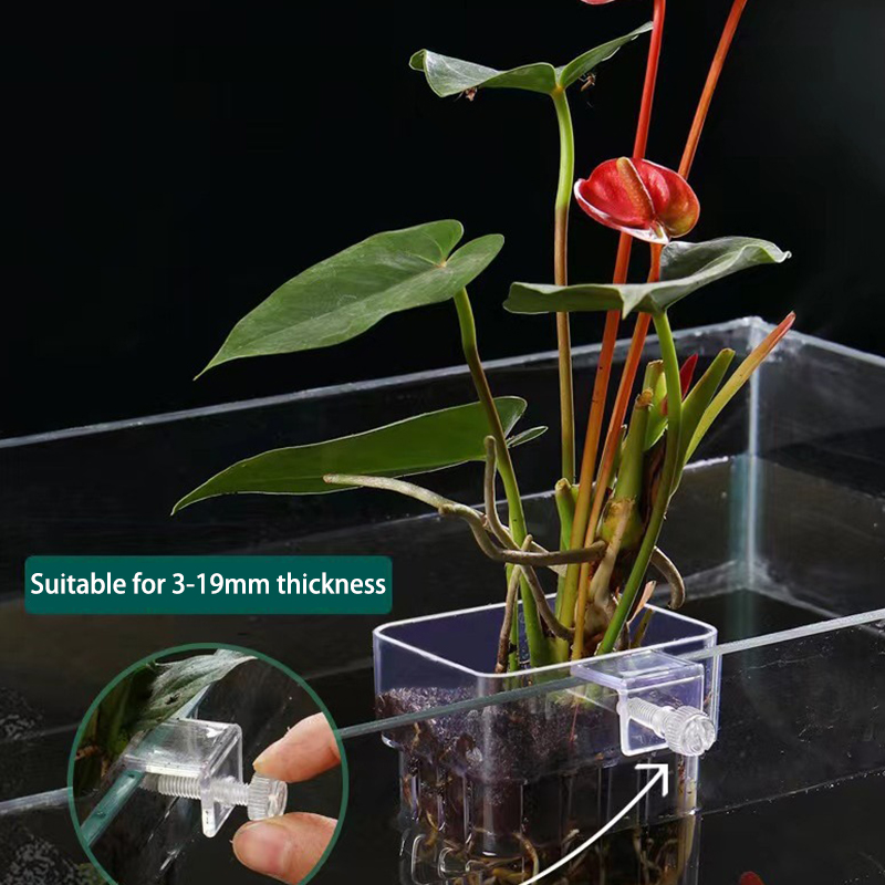 Aquarium Planted Fish Tank - Çok fonksiyonlu balık akvaryumu su çim