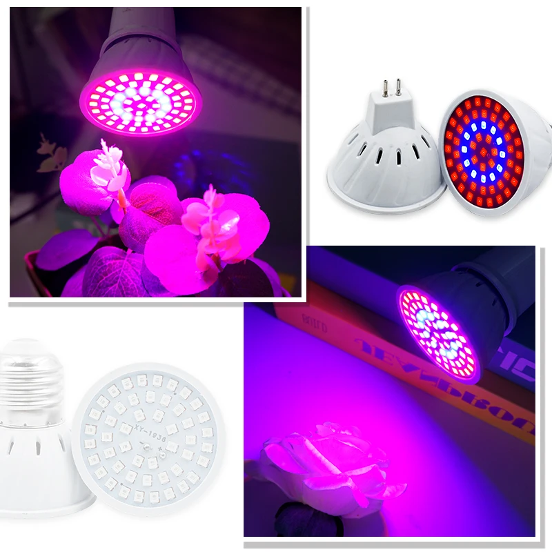 Phyto Lamba Tam Spektrum LED B - Led Planted Tank Light incelemesi ve fiyatı