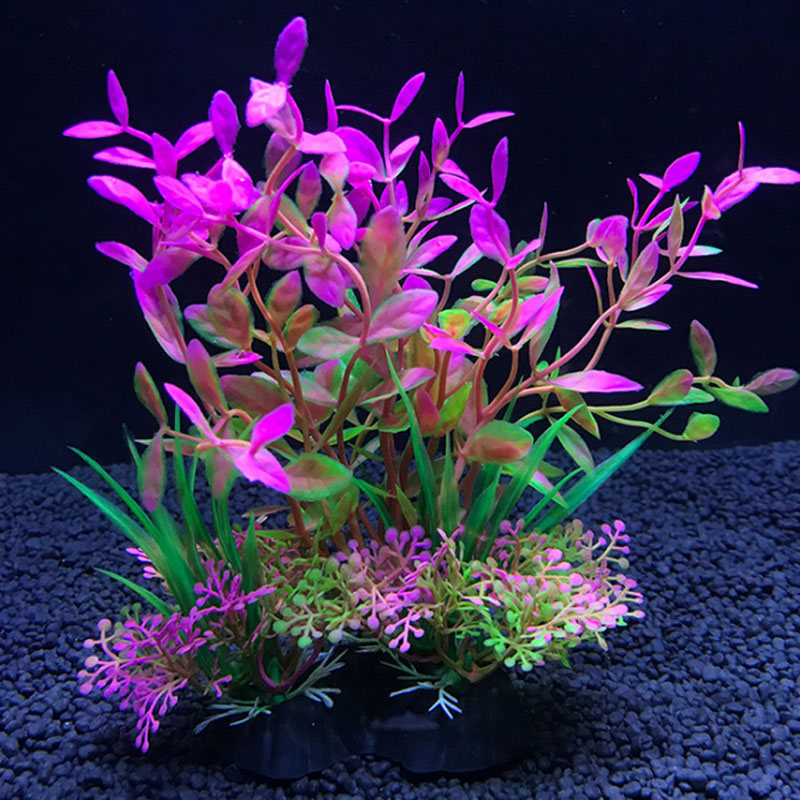 Akvaryum dekorasyonu çeşitli s - Aquarium Plant Varieties incelemesi ve fiyatı