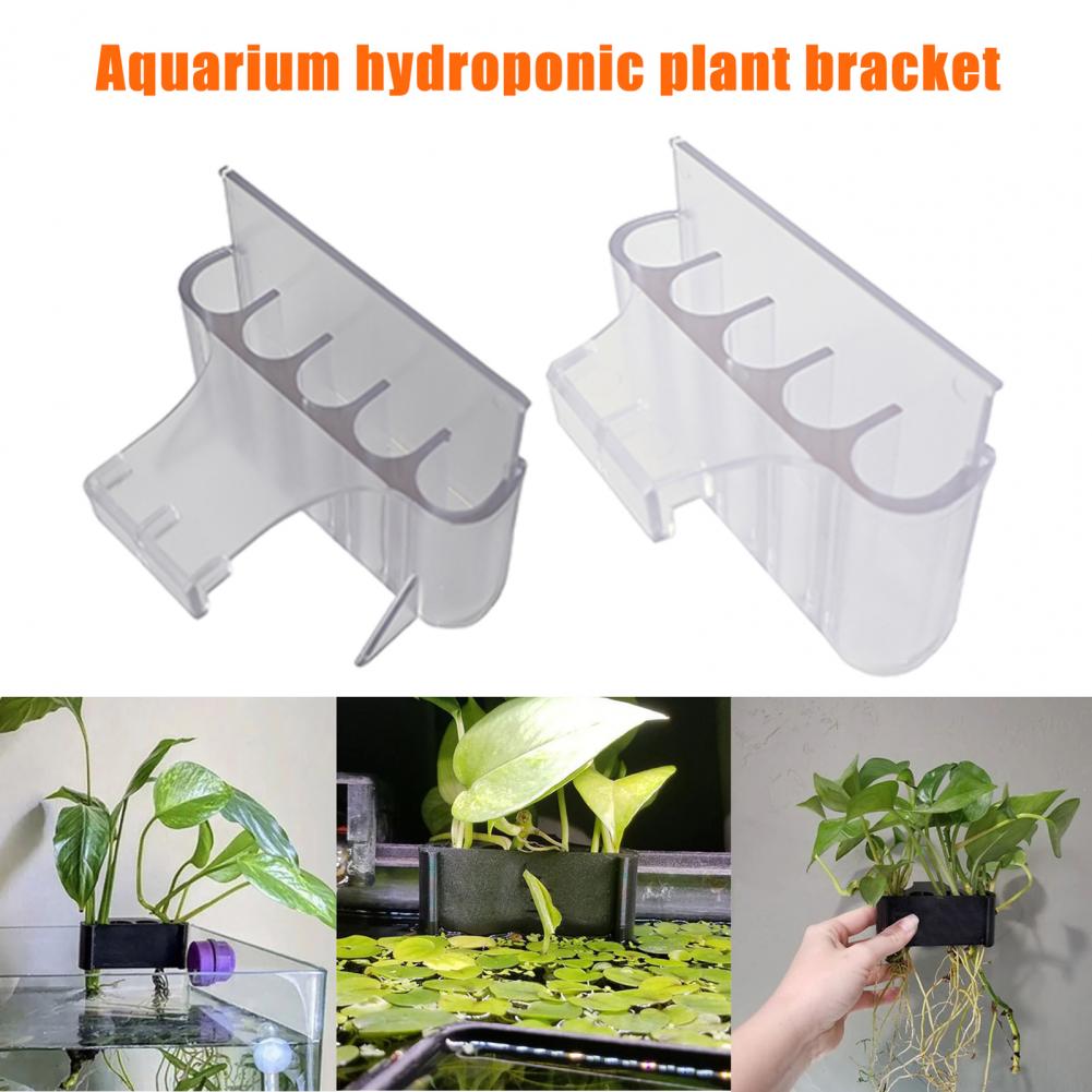 4.5/6.5cm akvaryum bitki tutuc - Aquarium Planted Fish Tank incelemesi ve fiyatı
