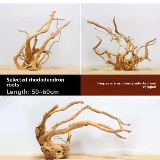 Akvaryum Balık Tankı Dekorasyo - Aquarium Planted Fish Tank incelemesi ve fiyatı