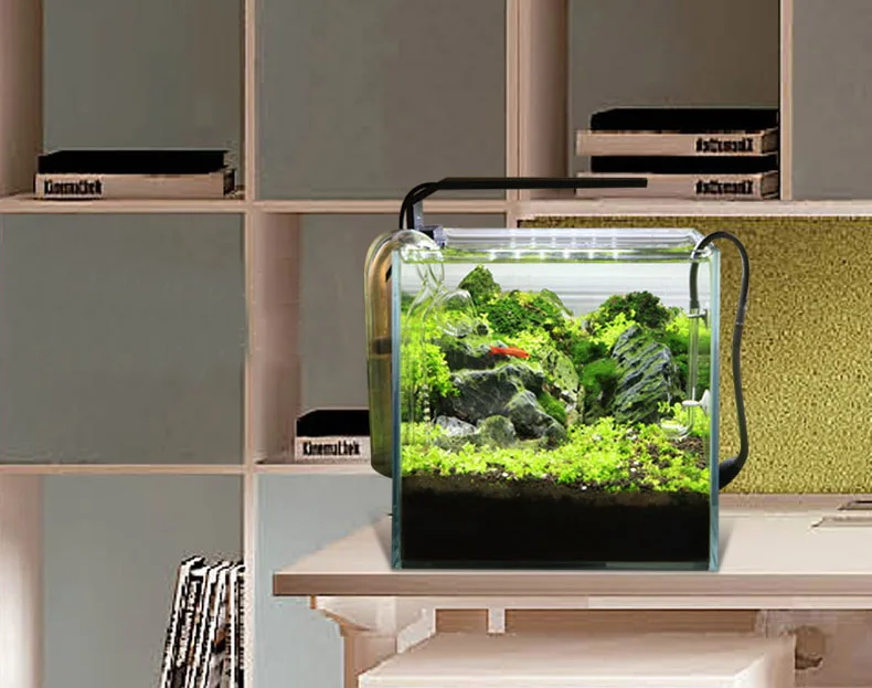 Spirürler C Serisi ADA Tarzı B - Aquarium Plant Growth incelemesi ve fiyatı