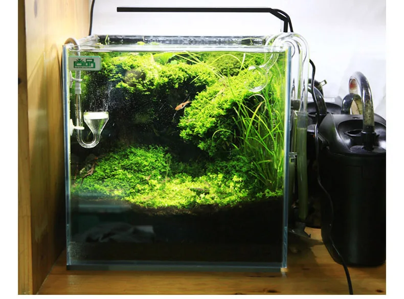 Spirürler C Serisi ADA Tarzı B - Aquarium Plant Growth incelemesi ve fiyatı