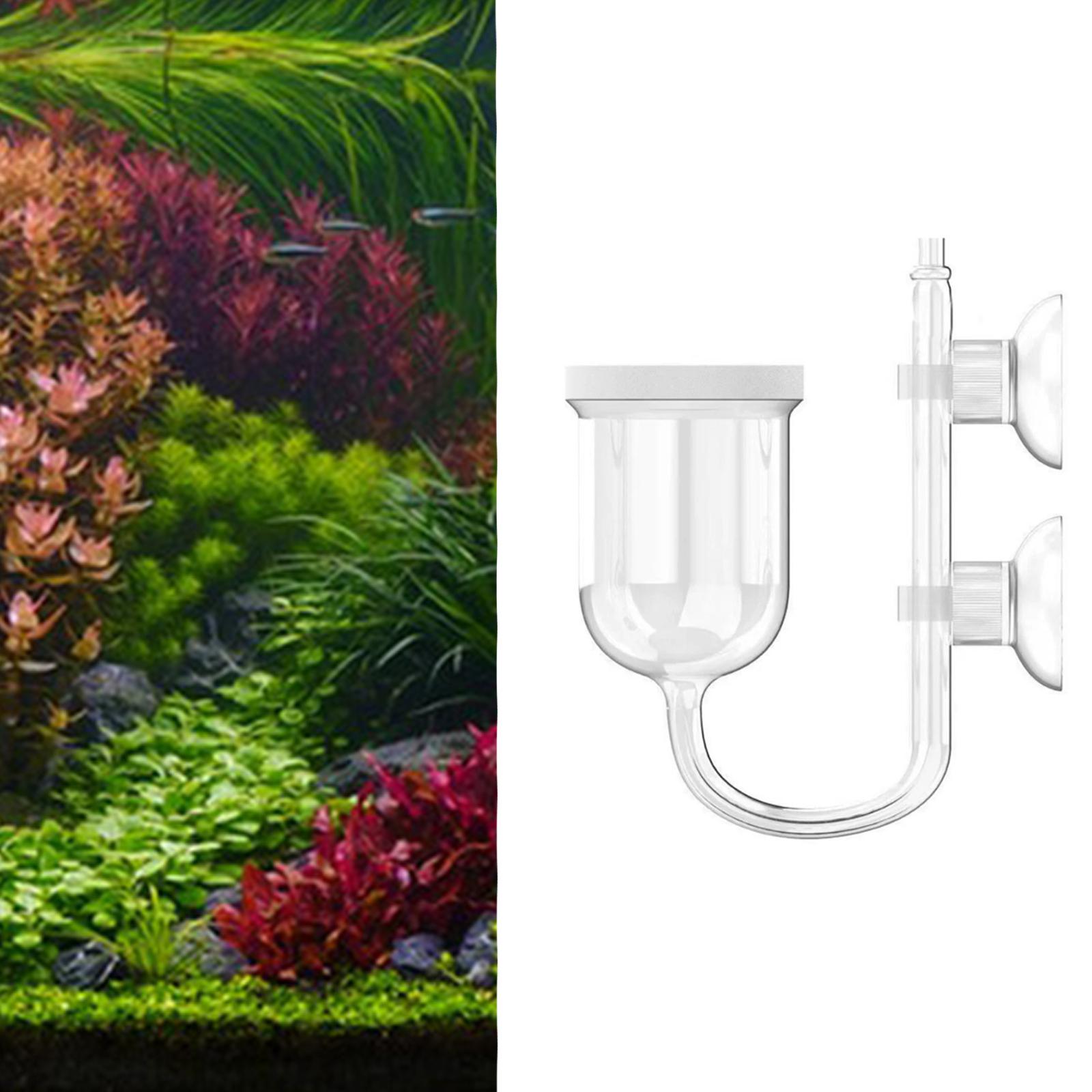 Akvaryum CO2 Difüzörü Şeffaf C - Aquarium Plant No Co2 incelemesi ve fiyatı