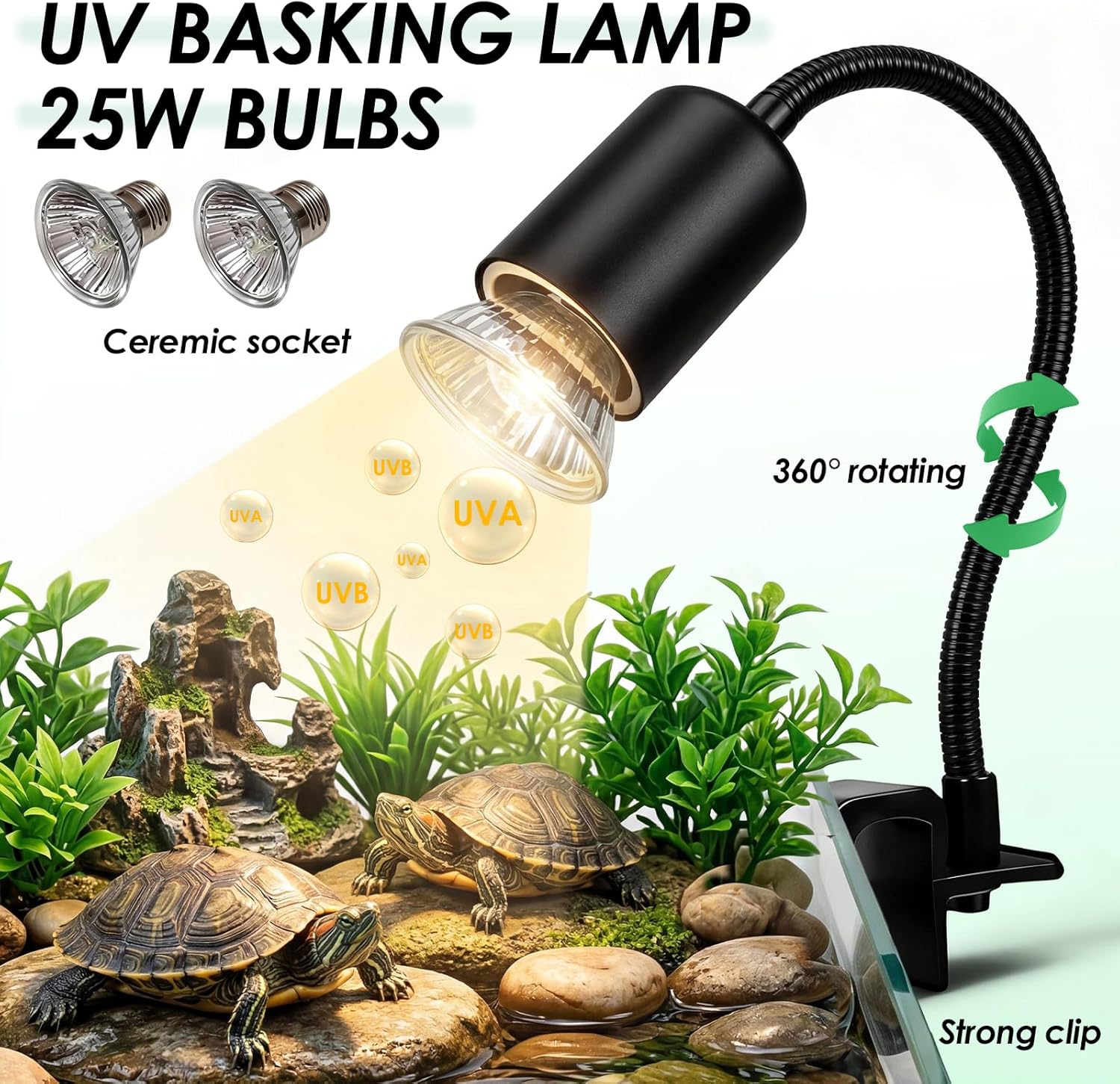 Kaplumbağa Tankı Başlangıç Set - Planted Aquarium Starter Kit incelemesi ve fiyatı