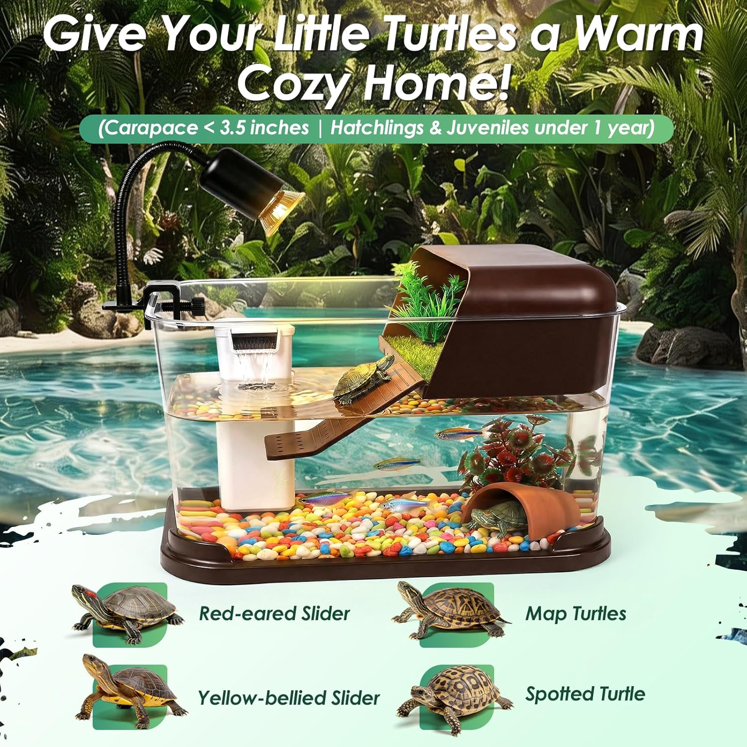 Kaplumbağa Tankı Başlangıç Set - Planted Aquarium Starter Kit incelemesi ve fiyatı