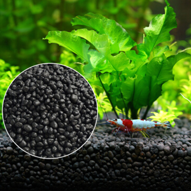Akvaryum bitki tohumları topra - Aquarium Plant Growth incelemesi ve fiyatı