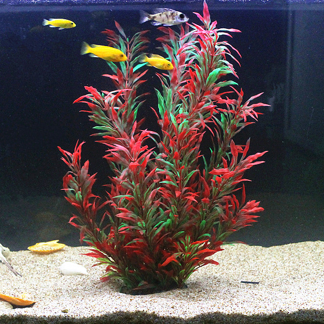 50 CM Yapay Balık Tankı Nadir  - Aquarium Planted Fish Tank incelemesi ve fiyatı