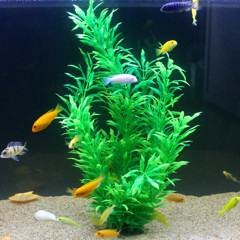 50 CM Yapay Balık Tankı Nadir  - Aquarium Planted Fish Tank incelemesi ve fiyatı