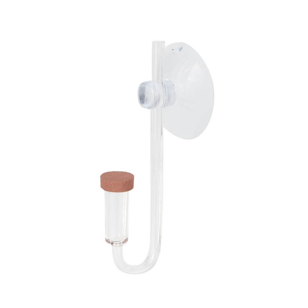 Akrilik Mini Balık Tankı Canlı - Aquarium Plant No Co2 incelemesi ve fiyatı