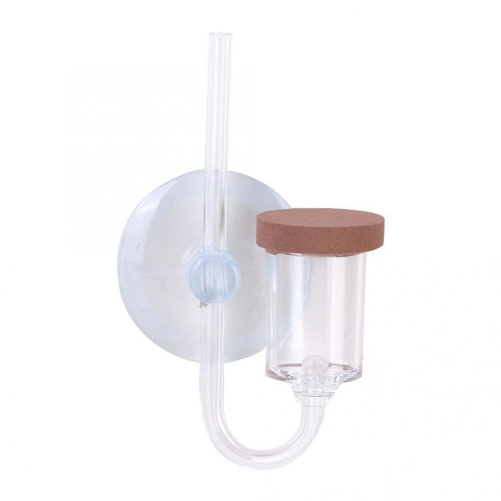 Akrilik Mini Balık Tankı Canlı - Aquarium Plant No Co2 incelemesi ve fiyatı