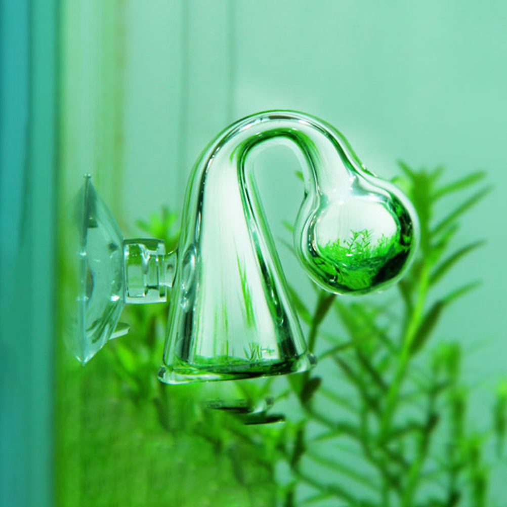 Monitör test cihazı akvaryum b - Aquarium Plant No Co2 incelemesi ve fiyatı