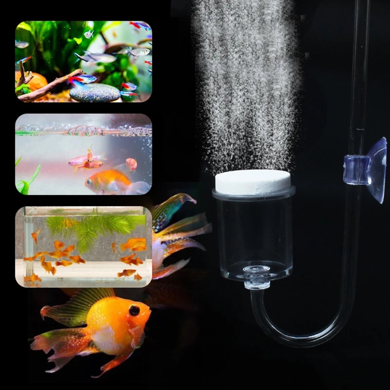 4 adet Set DIY CO2 difüzör içi - Aquarium Plant No Co2 incelemesi ve fiyatı